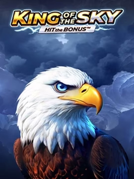 Mrmega casino King of the Sky: Hit the Bonus play online
